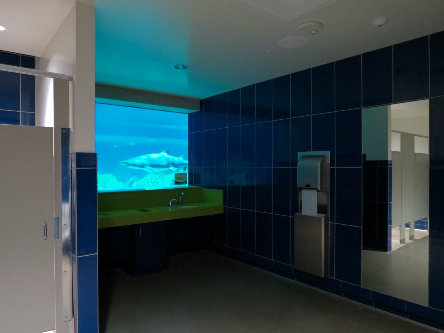Shark Waters Exhibit - Preview from Men's Restroom Viewing Area