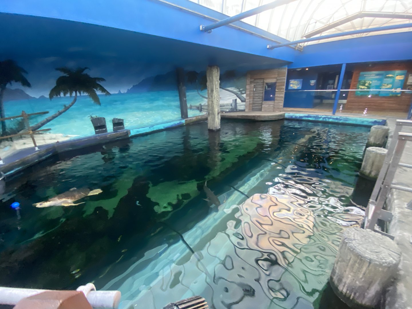 Shark Wreck Reef 070124