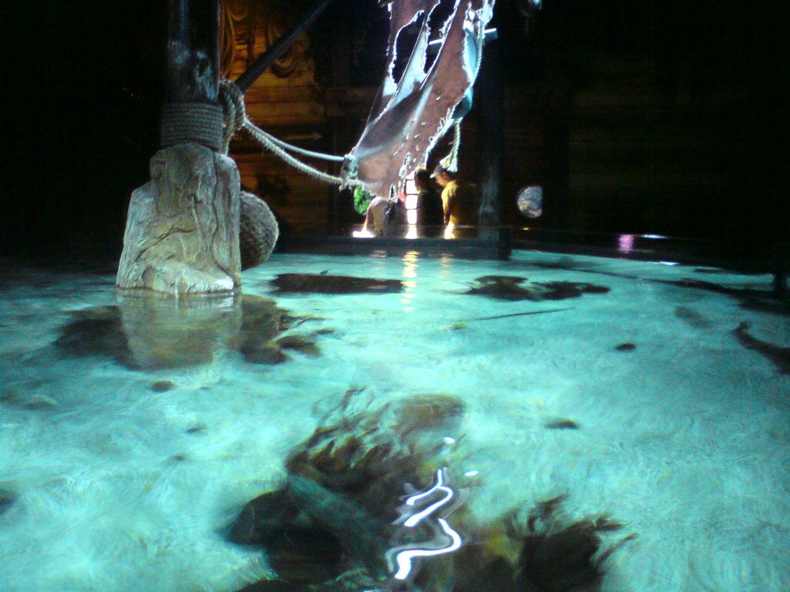 Sharkbait Reef by SeaLife @ Alton Towers, 26/06/10