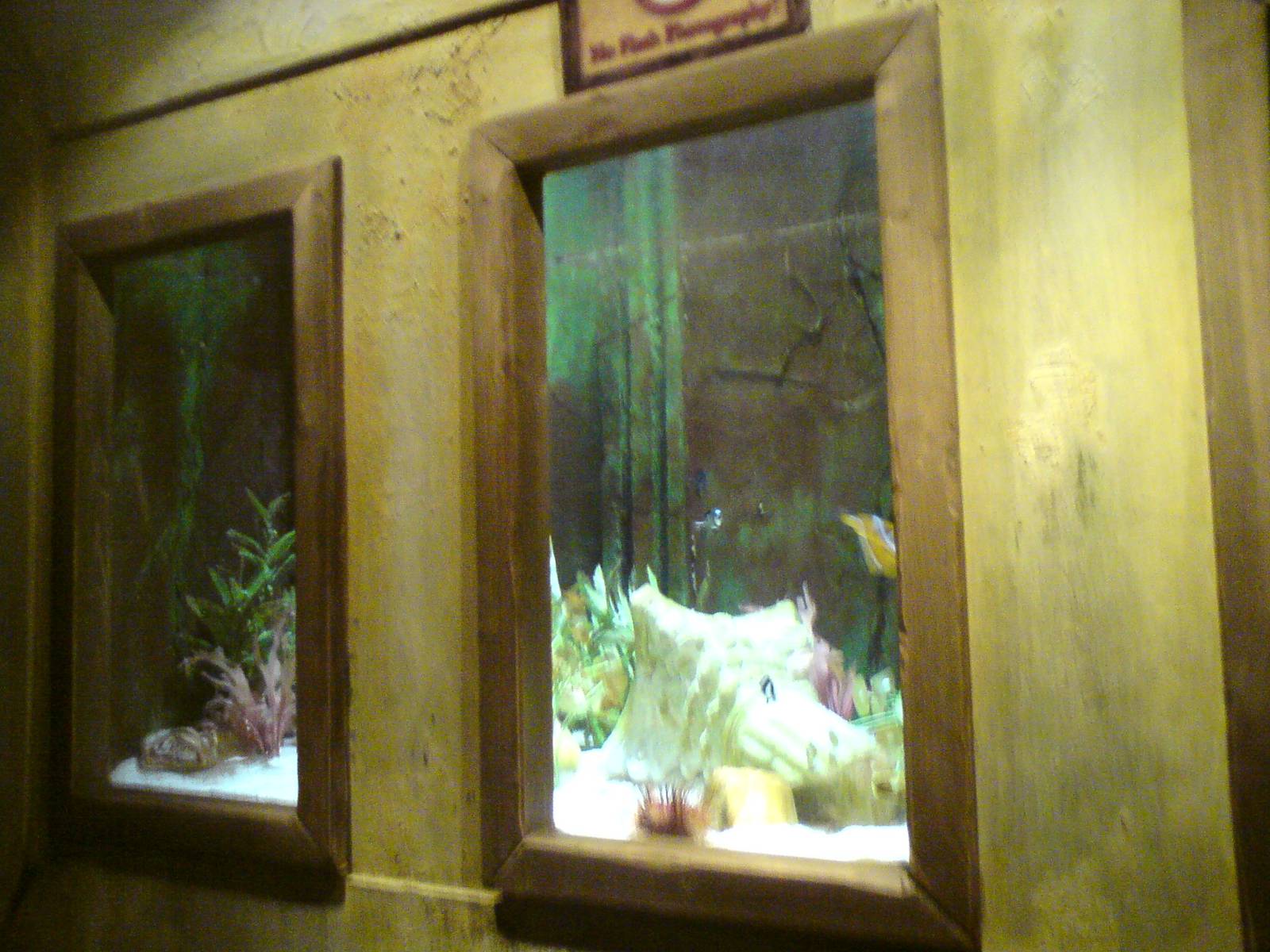 Sharkbait Reef by SeaLife @ Alton Towers, 26/06/10