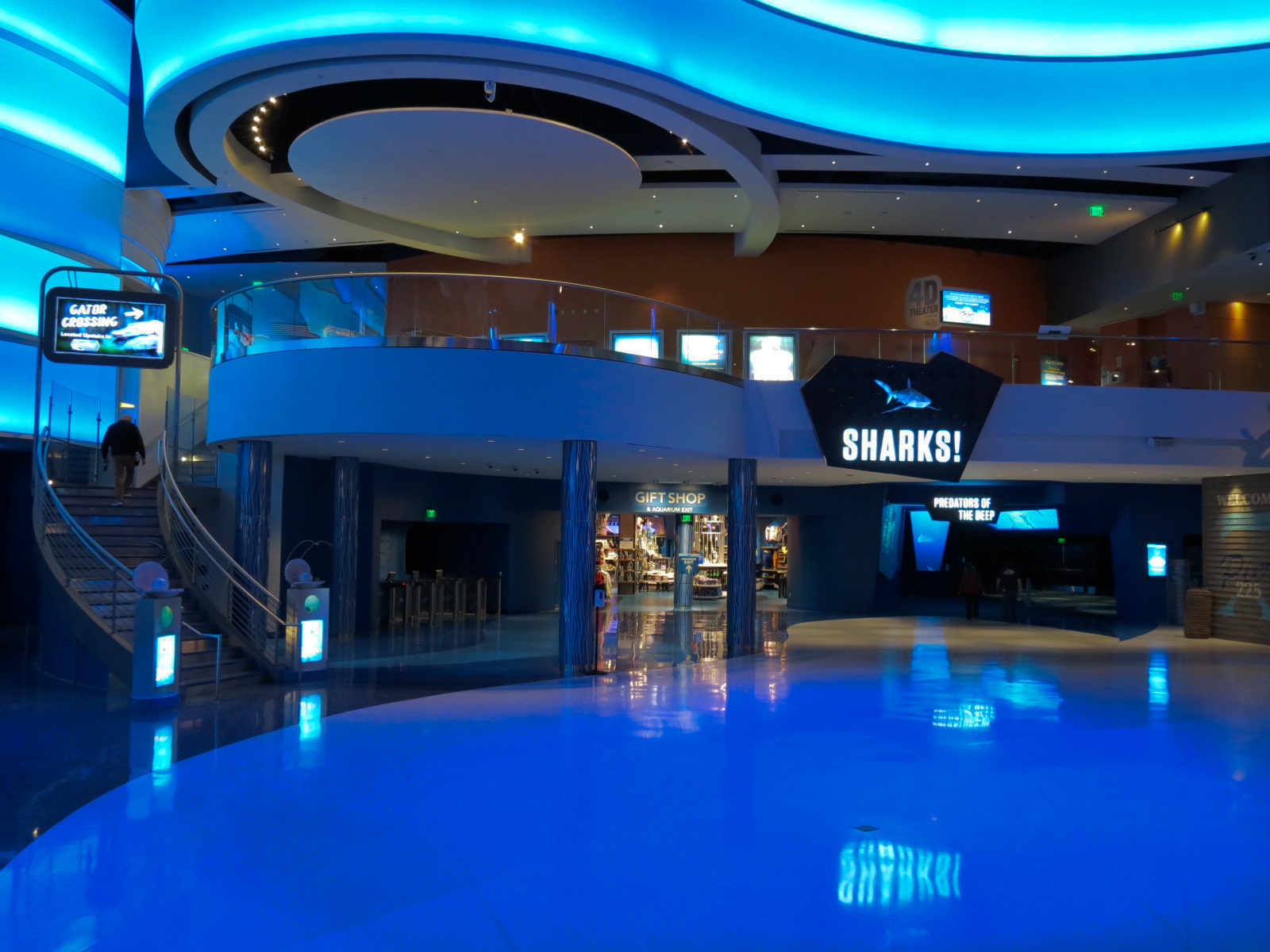 Sharks! - Entry from Lobby