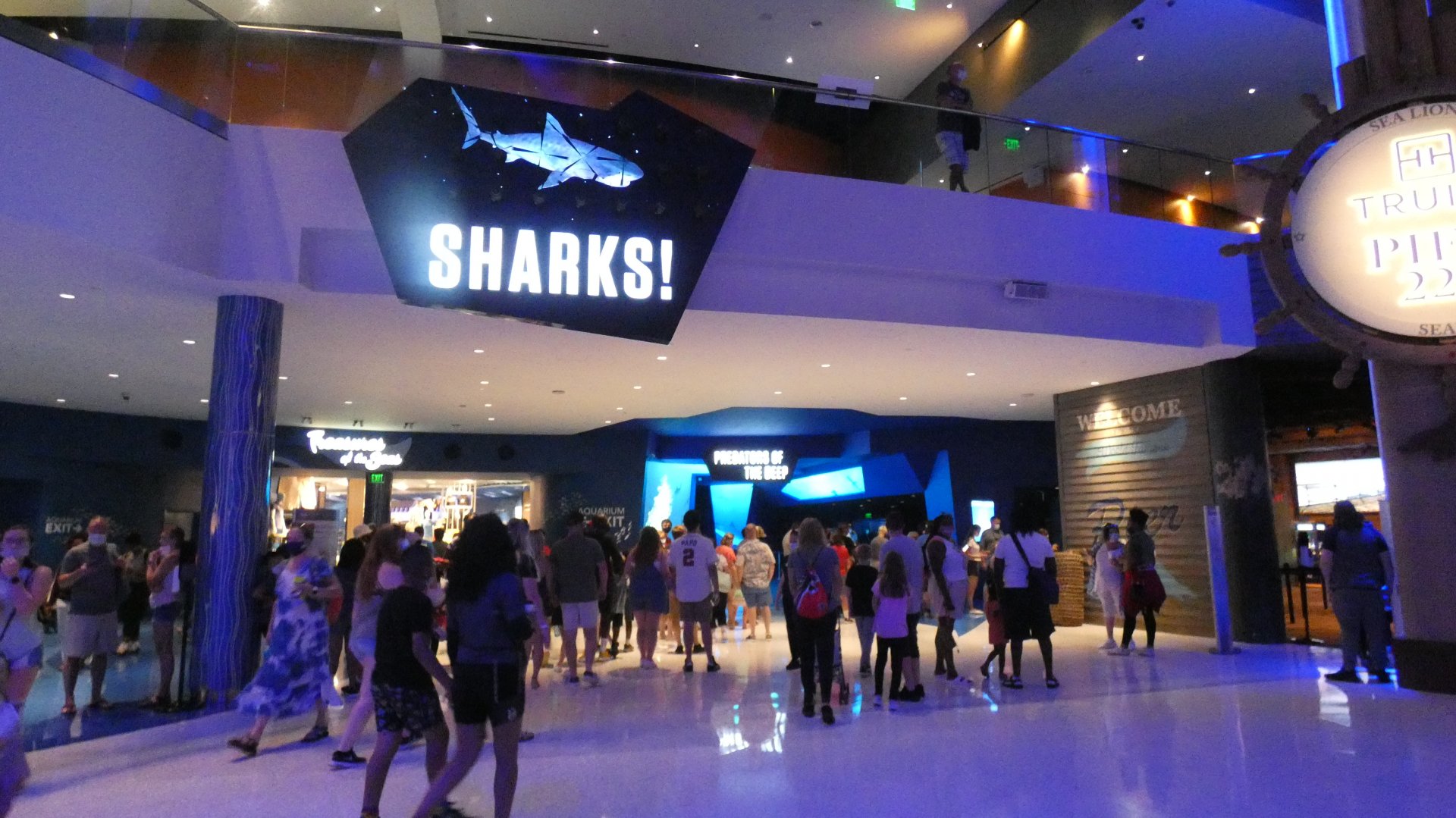 Sharks! Predators of the Deep - Aug. 2021