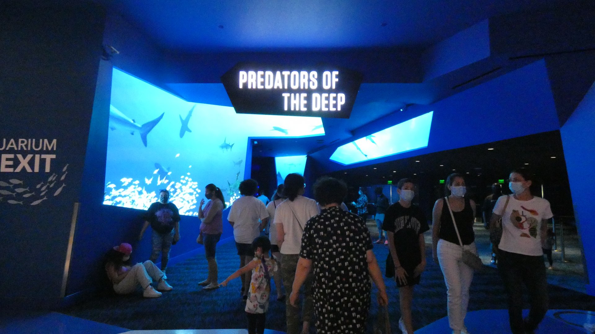 Sharks! Predators of the Deep - Aug. 2021