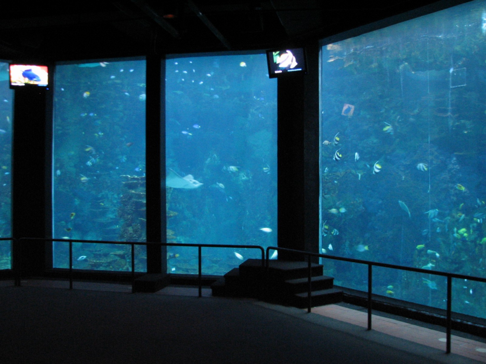 Sharks/The Coral Reef - Coral Reef Exhibit