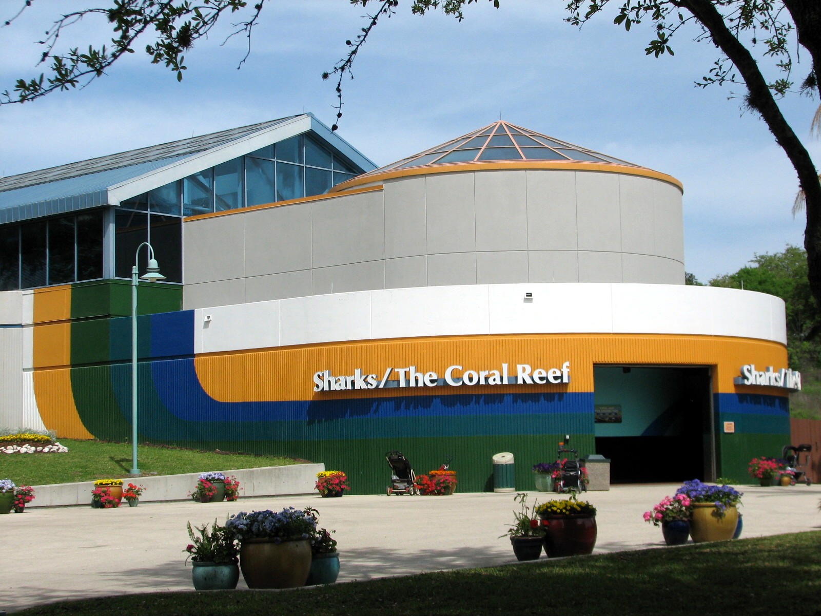 Sharks/The Coral Reef - Exterior