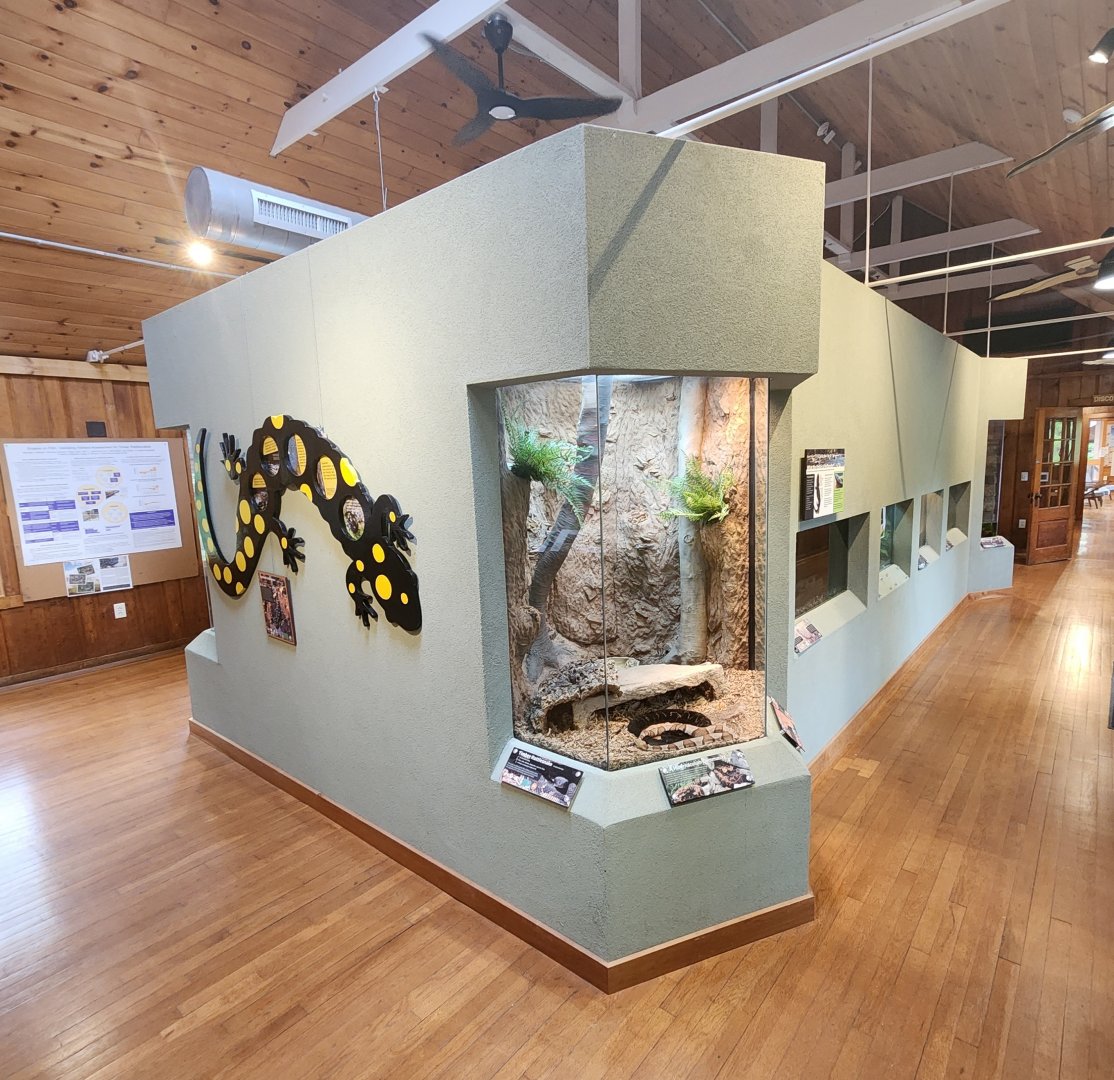 Shaver's Creek Environmental Center (PA) - Reptile house