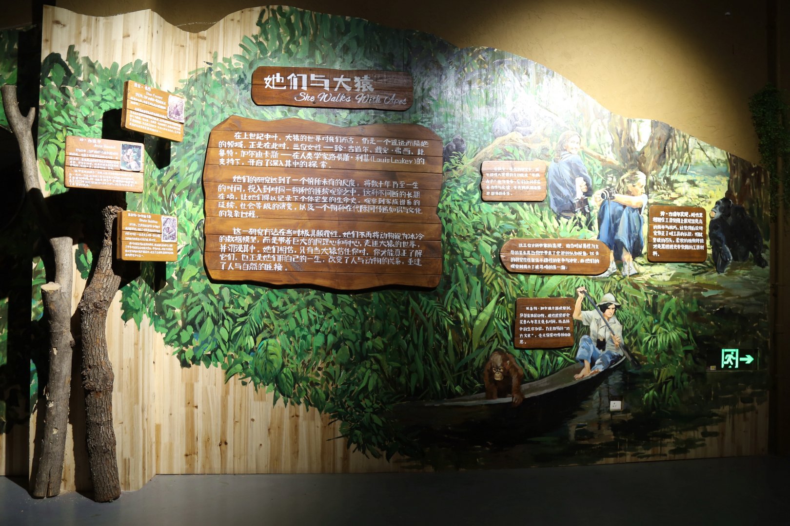 “She Walks with Apes”