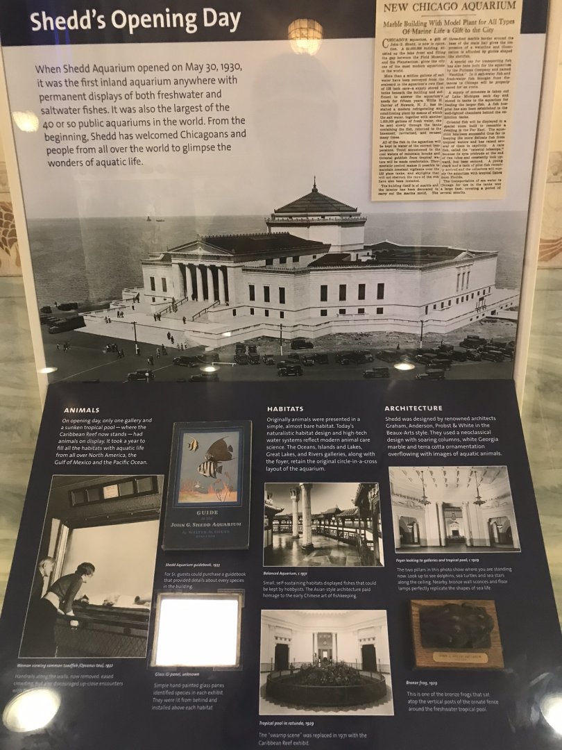 Shedd Aquarium: Aquarium History Display