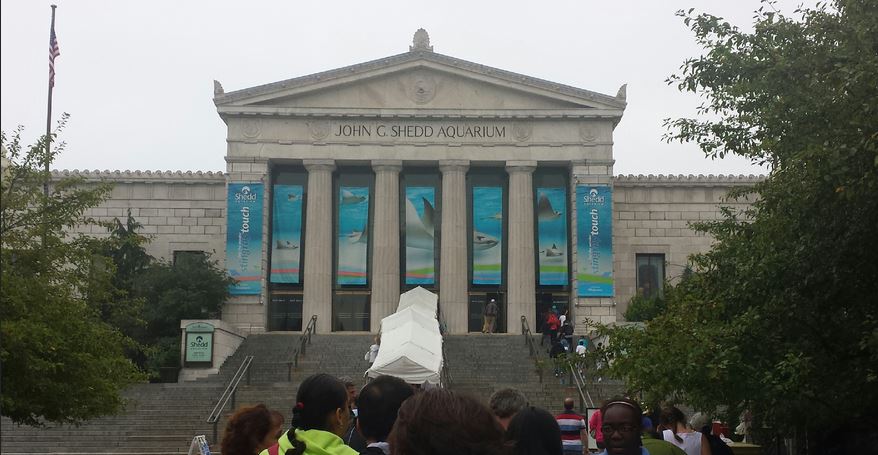 Shedd Aquarium - Main Entrance