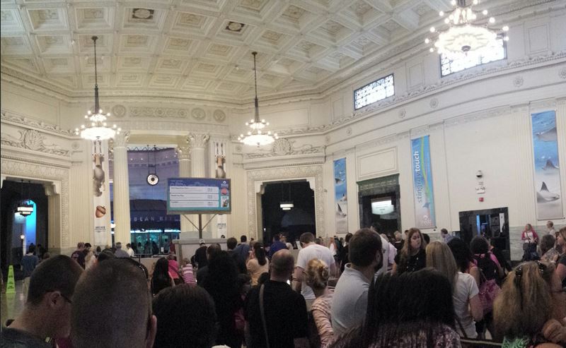 Shedd Aquarium - Main Lobby