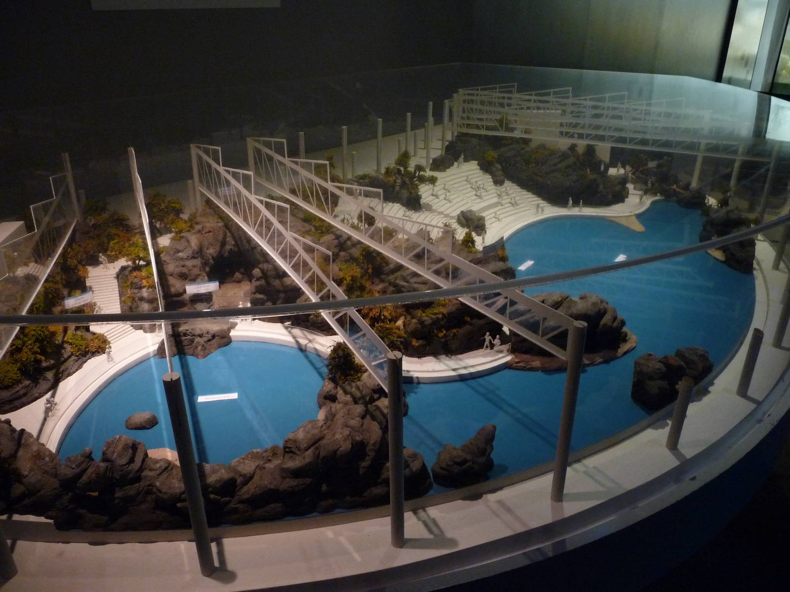Shedd Aquarium - Oceanarium Model