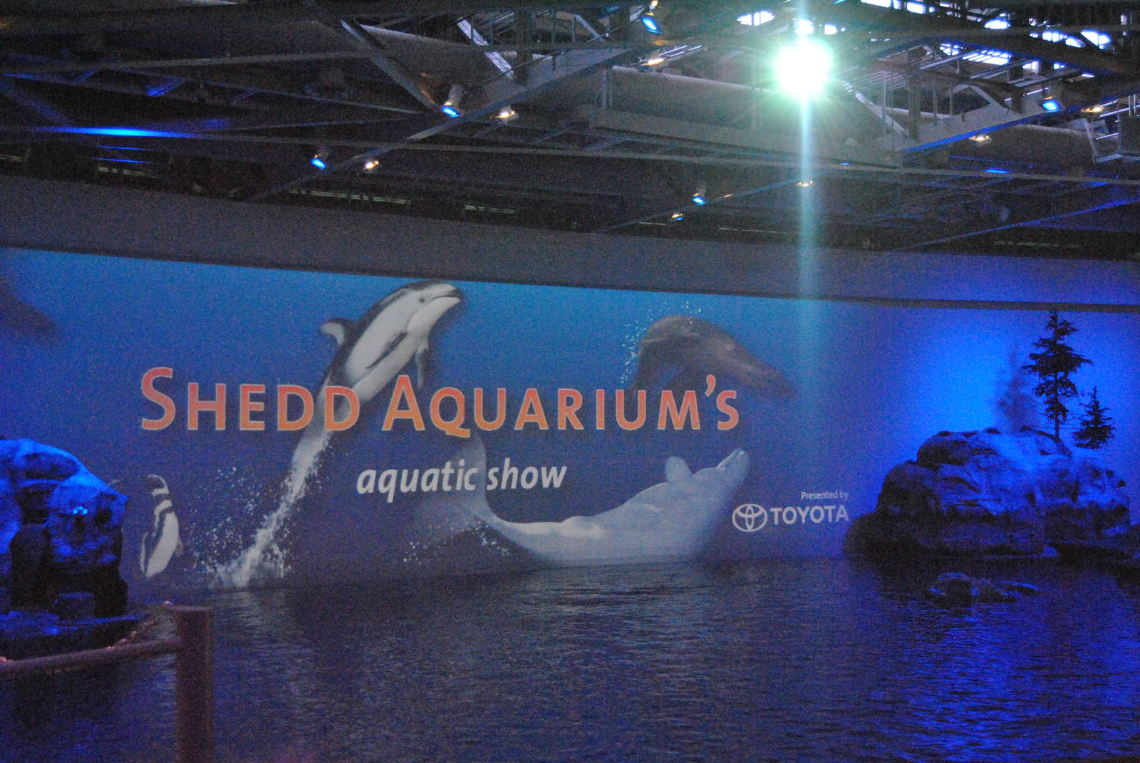 Shedd Aquarium