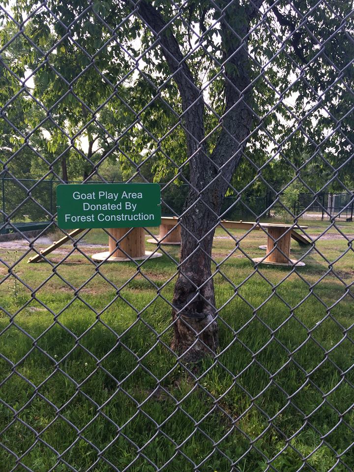 Sheep And Goat Exhibit