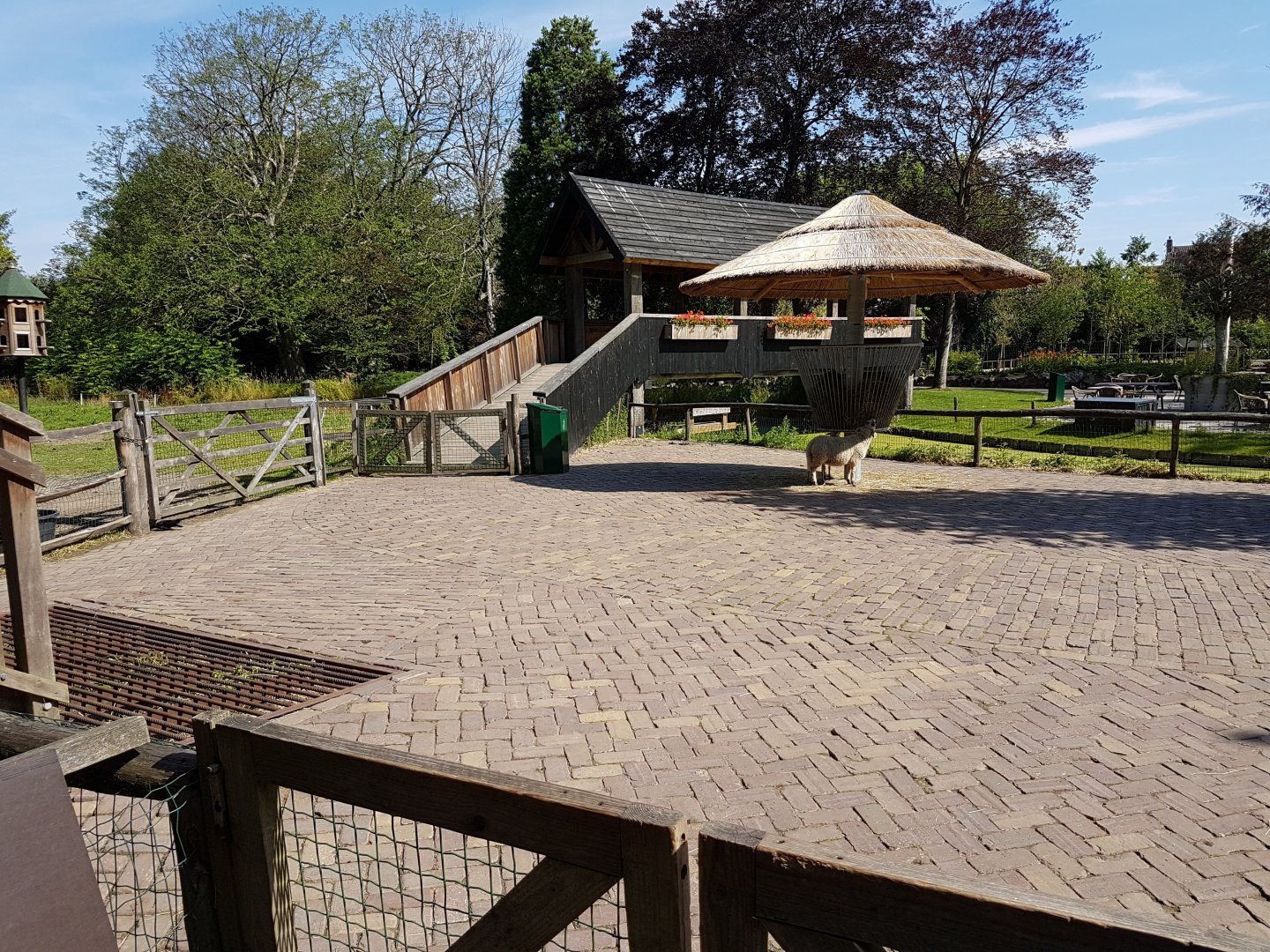 Sheep-enclosure with viewing-point