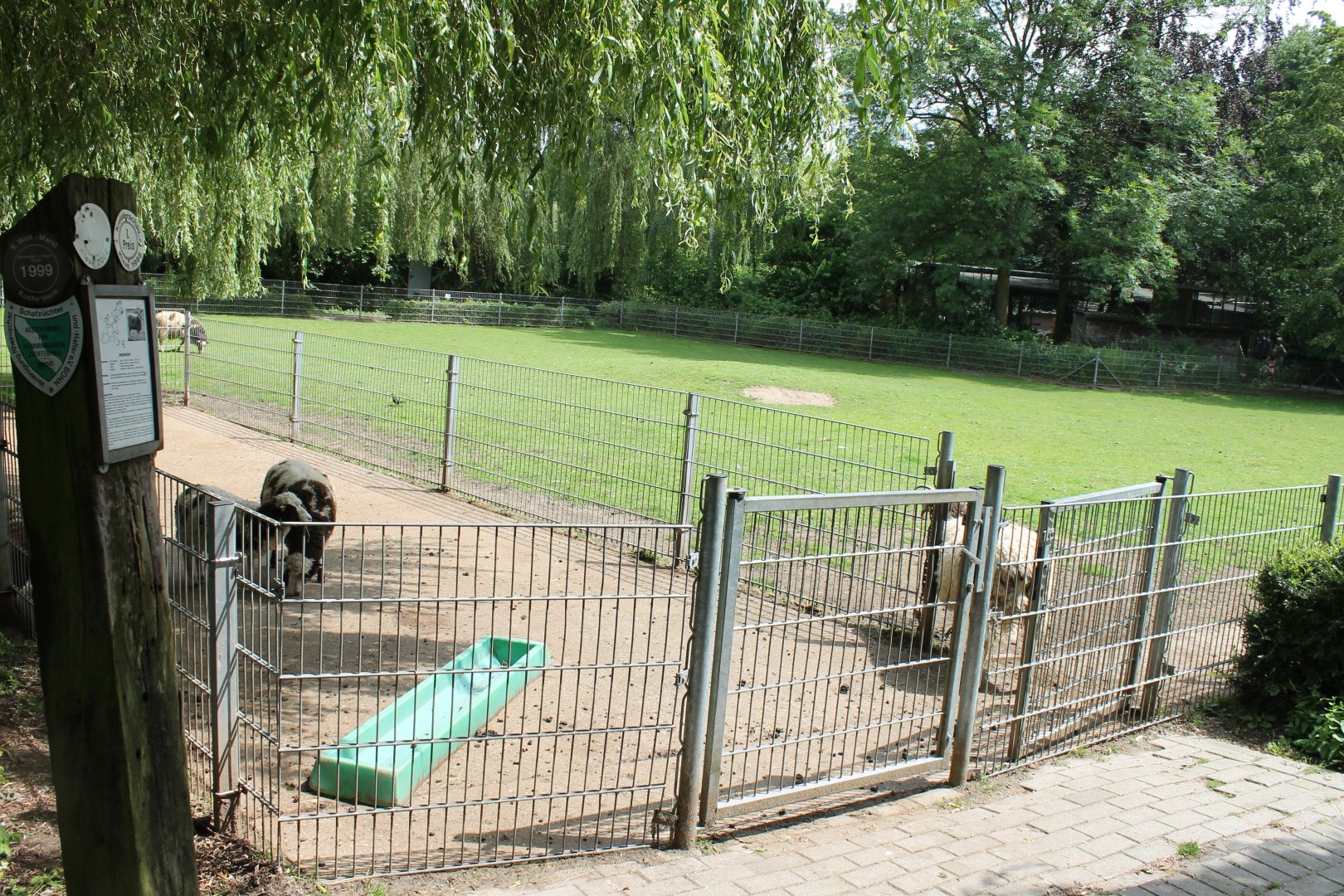 Sheep enclosure