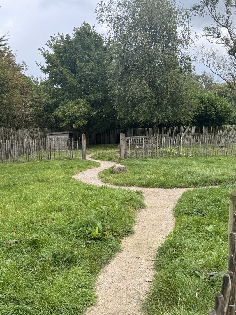 Sheep, Goat & Chicken Enclosure Mix