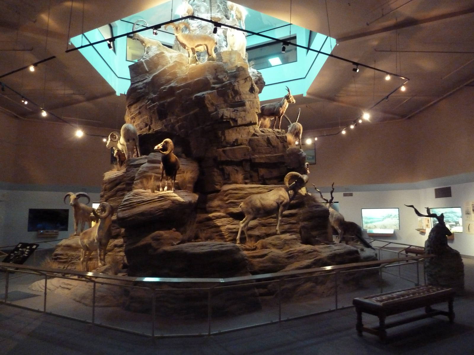 Sheep + Goat Mountain