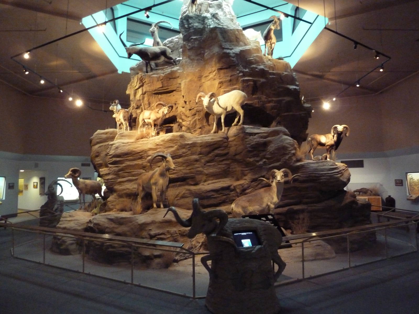 Sheep + Goat Mountain