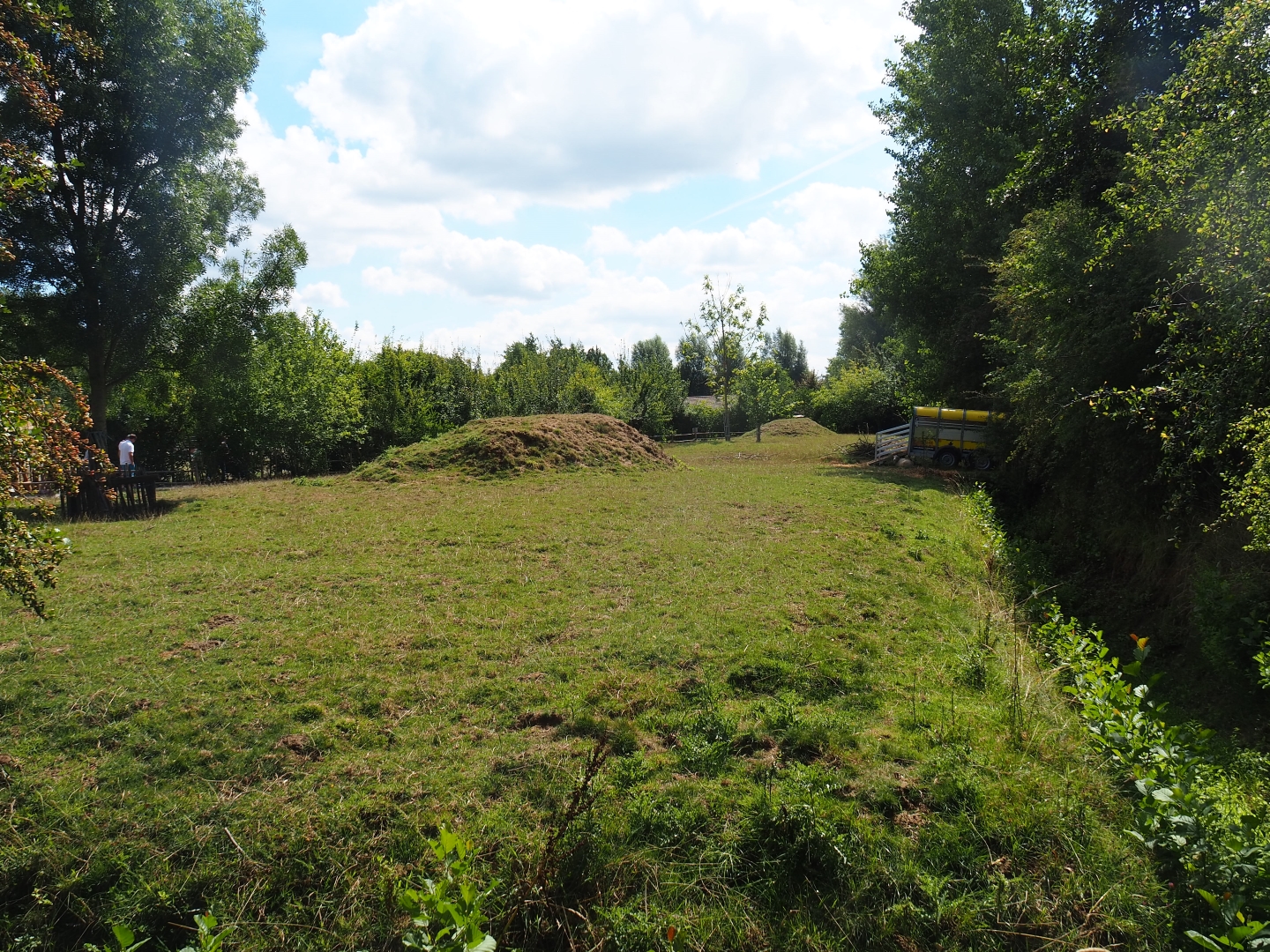 Sheep pasture - Site of future big cat exhibits