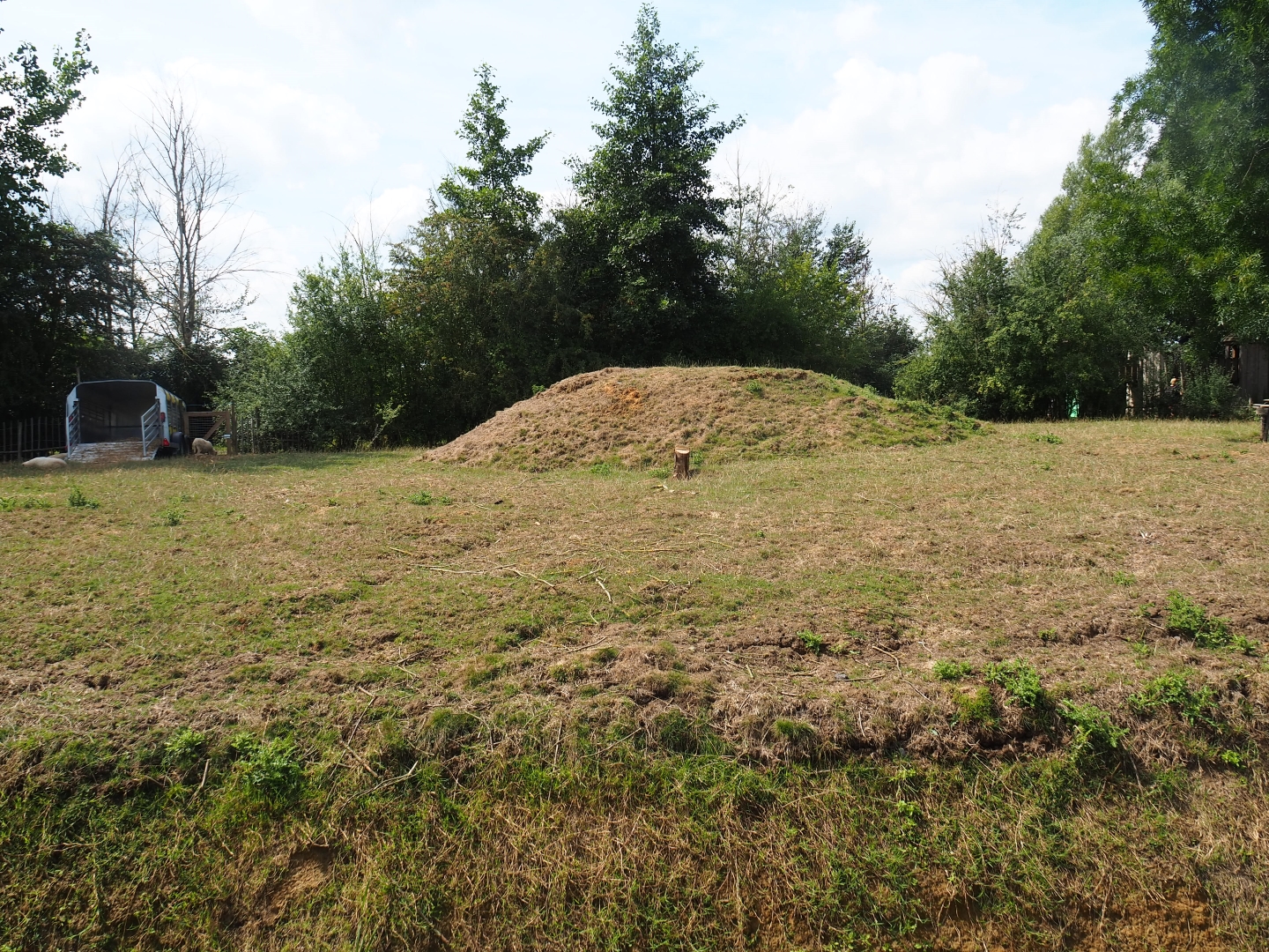 Sheep pasture - Site of future big cat exhibits