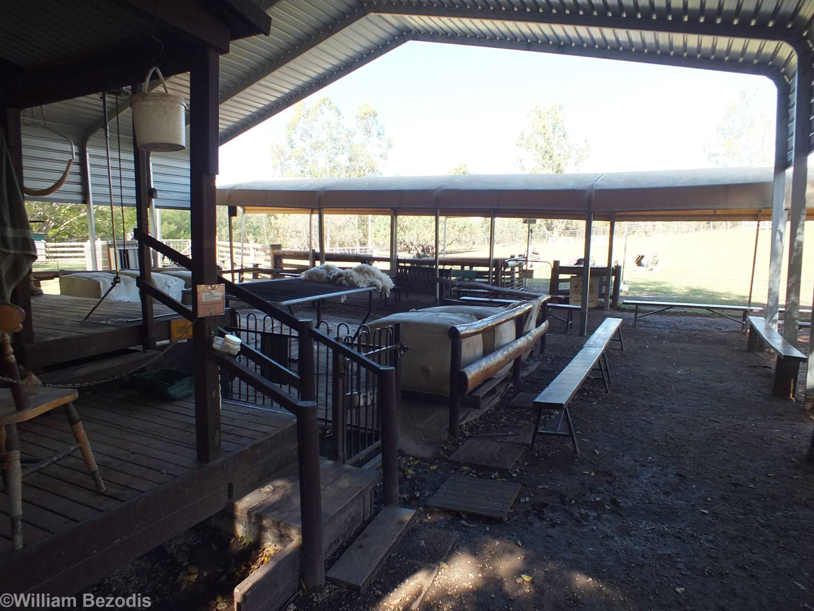 Sheep Show Area