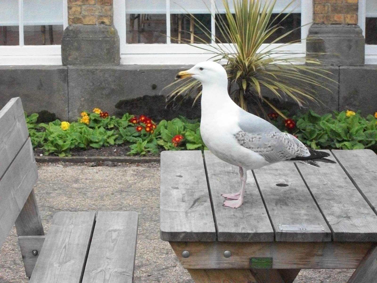 Sheldon again, 4th May 2014