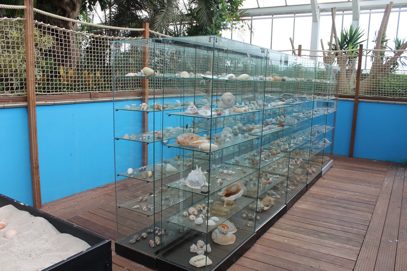 Shell-collection