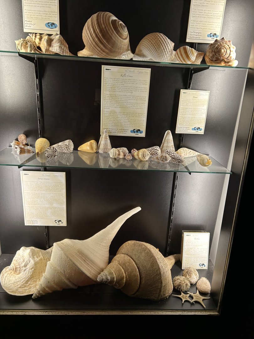 Shells