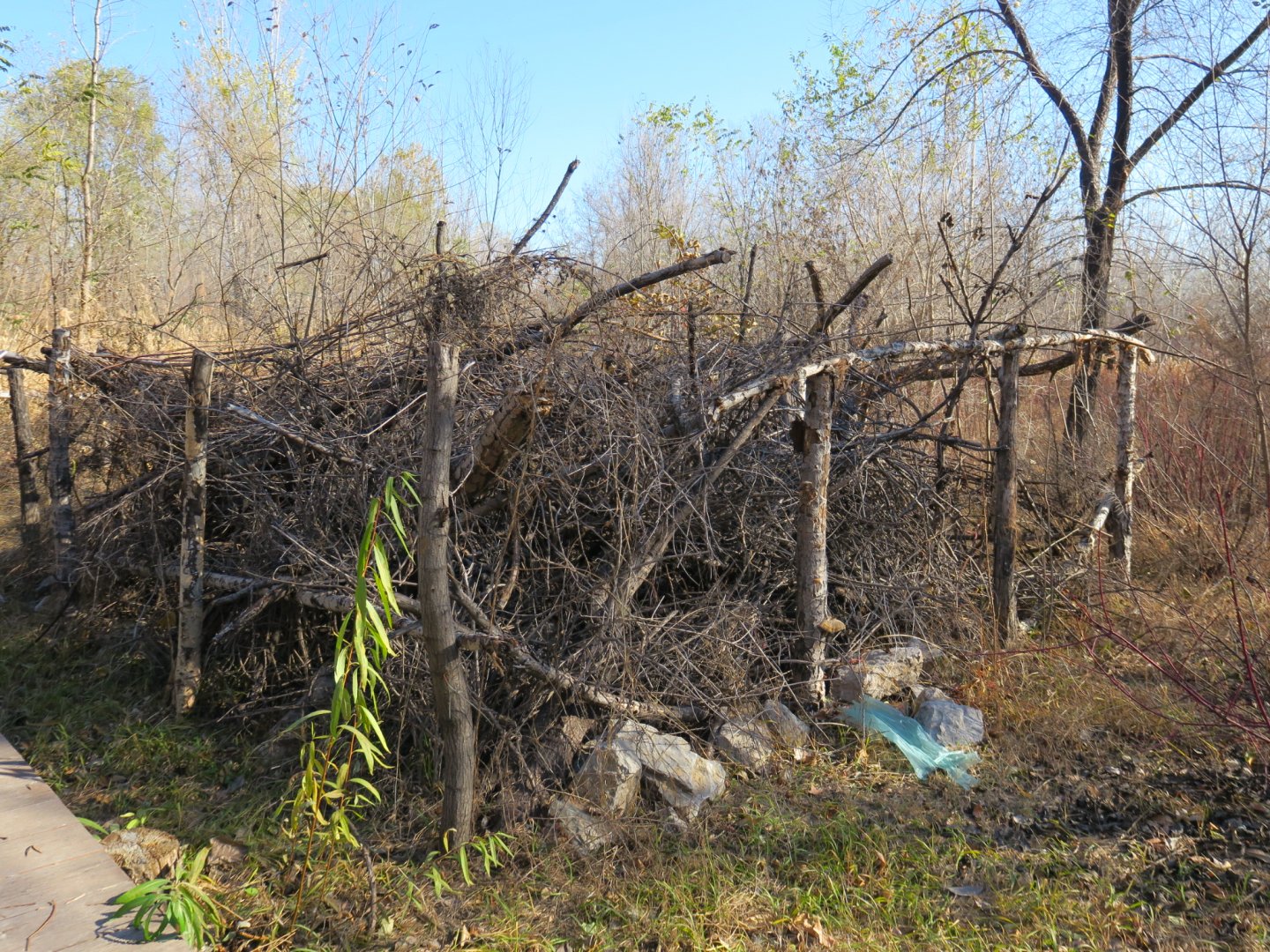 shelter for local animals