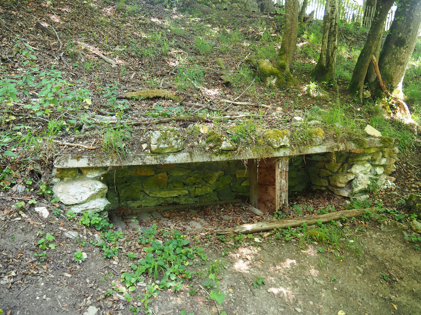 Shelter from former exhibit, 2020-07-12