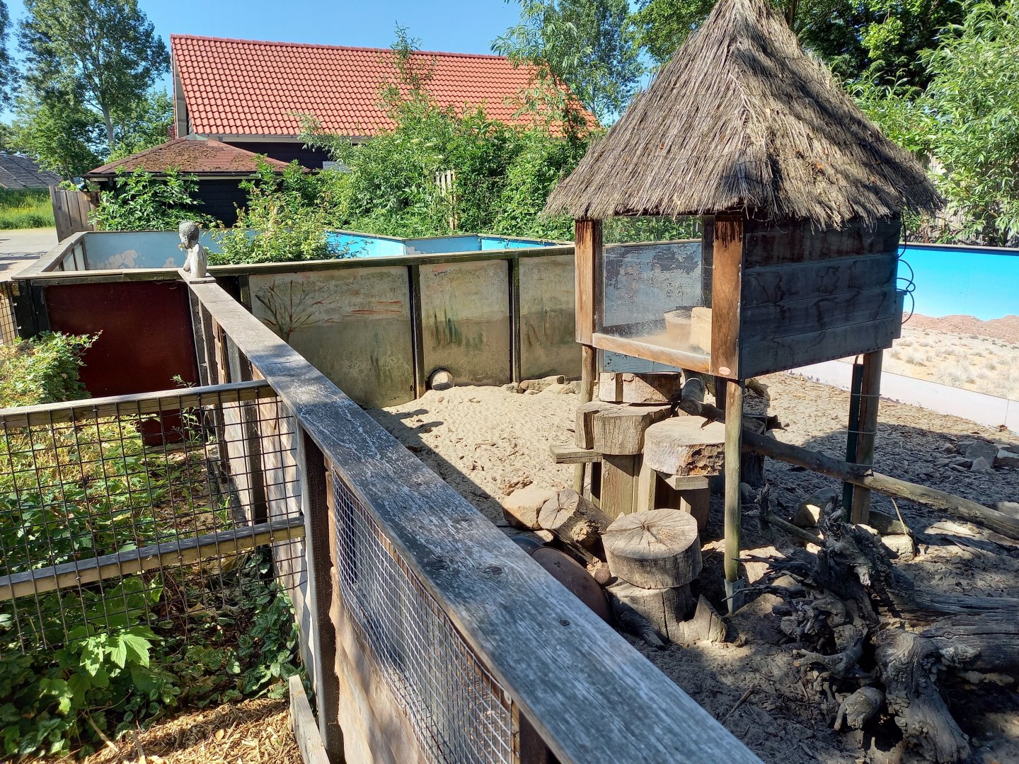 Shelter in Meerkat-enclosure
