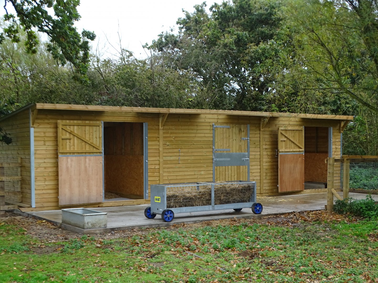 Shelter in new Capybara and Alpaca exhibit, 12th October 2024