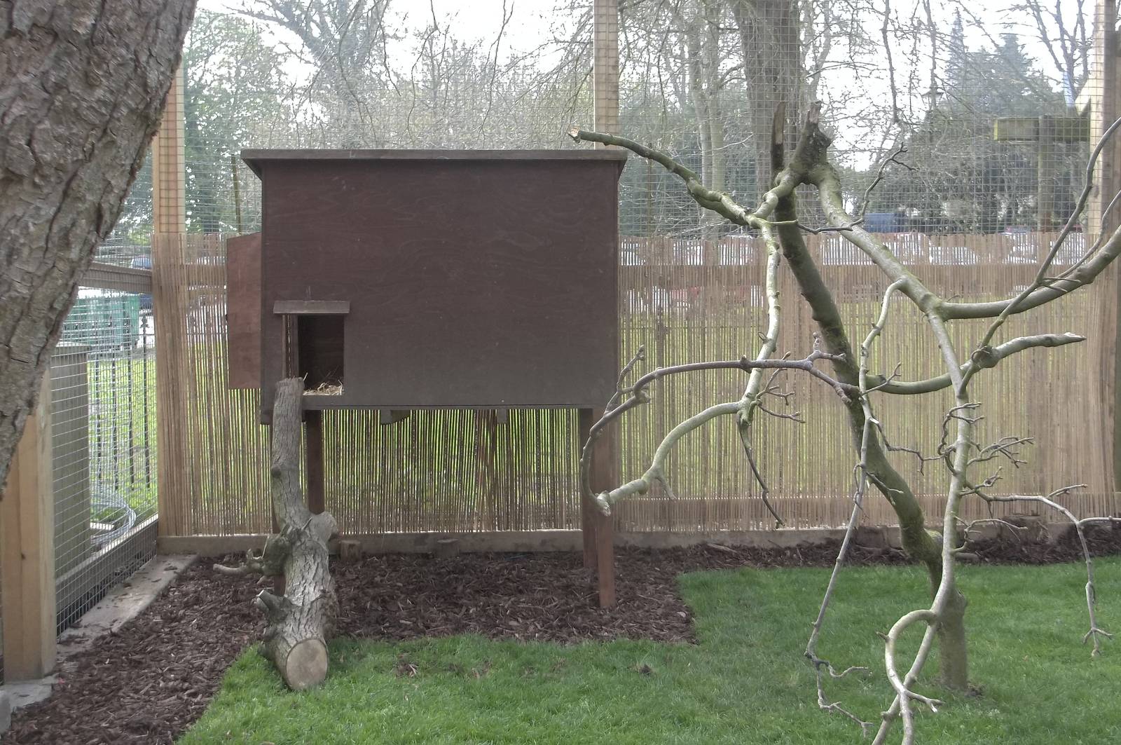 Shelter in new Coati exhibit, 7th May 2016