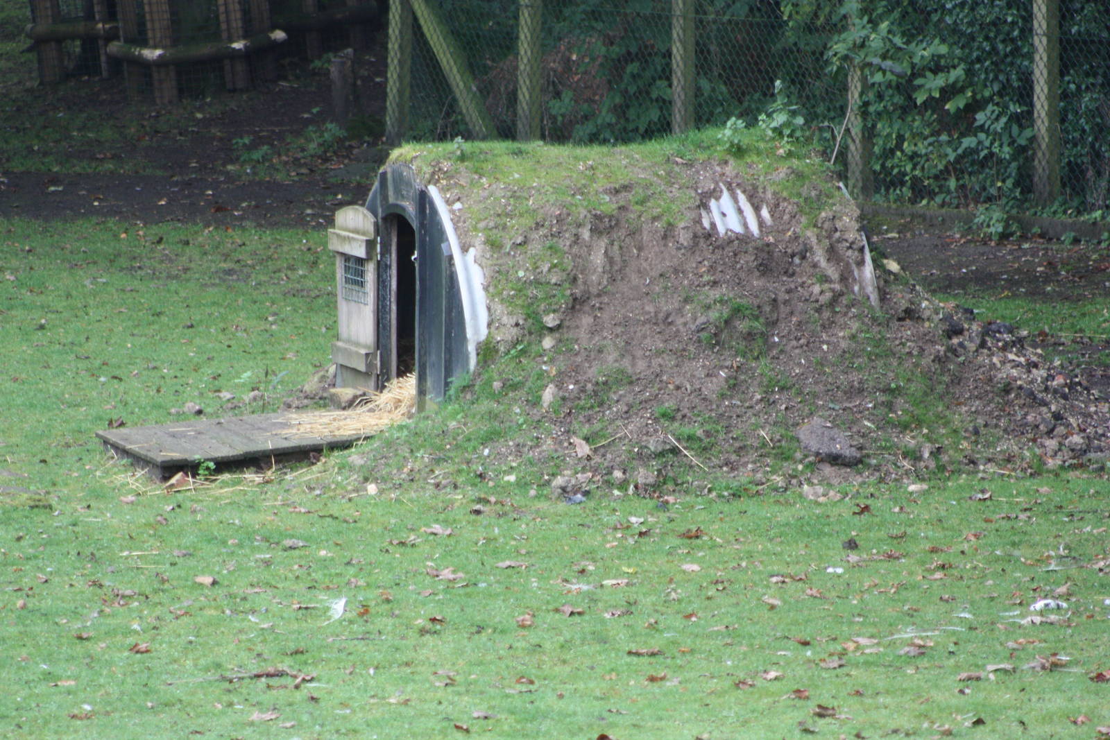 Shelter in South American exhibit, 1st September 2014