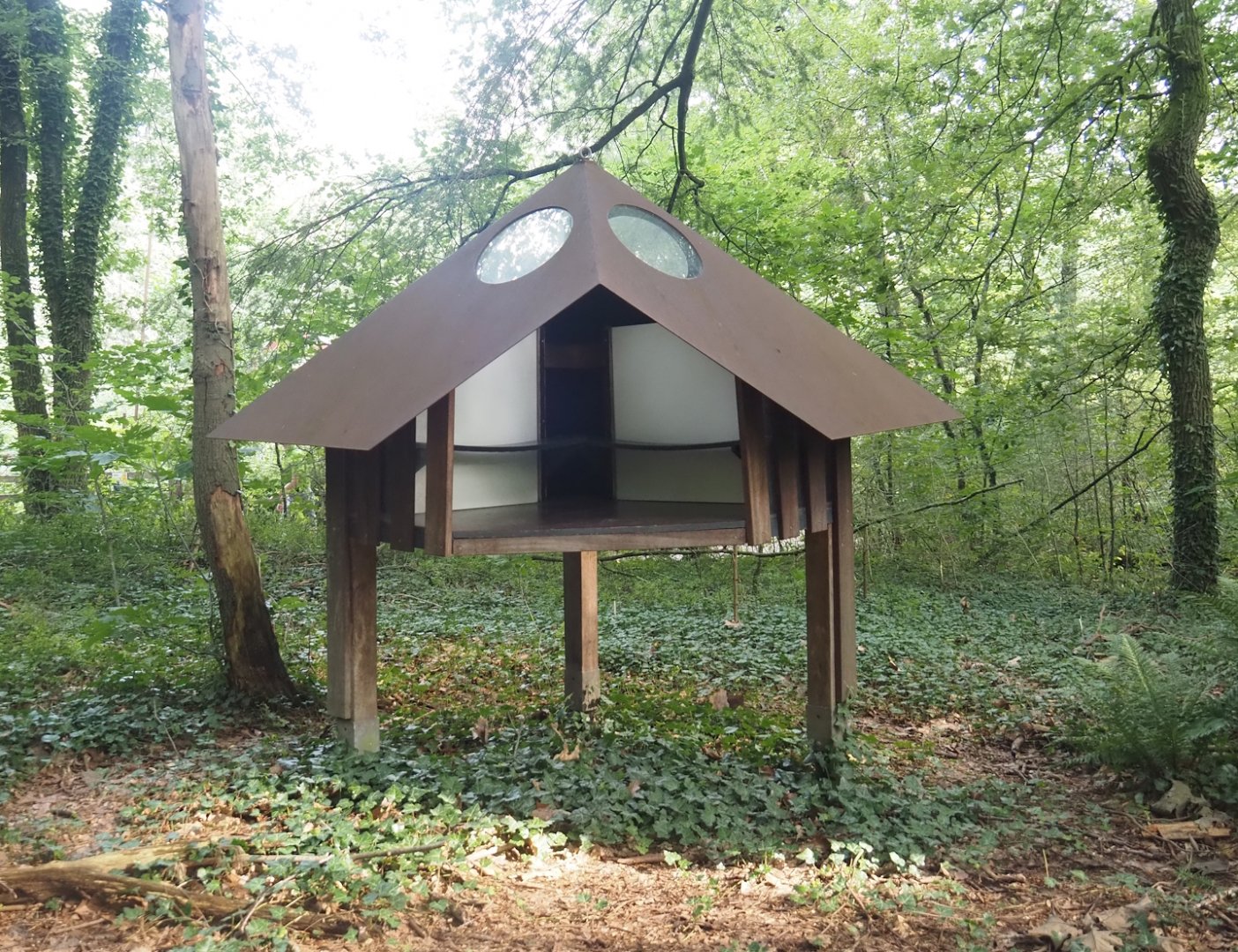 Shelter in the Bolivian squirrel monkey forest, 2024-08-18