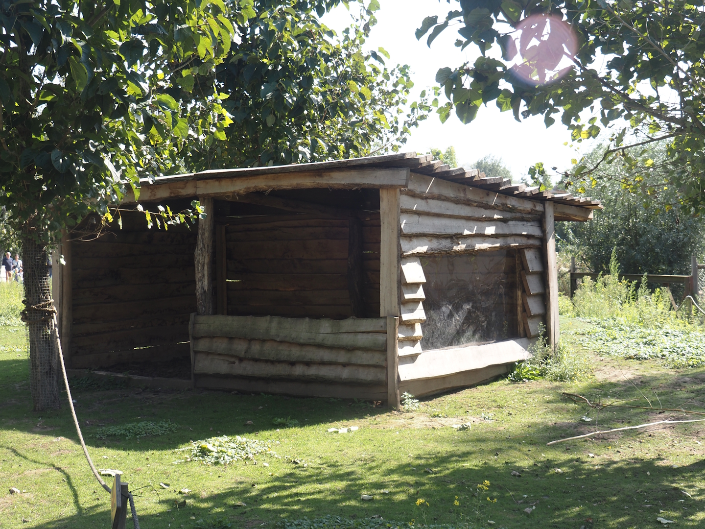 Shelter in the Emu, Eastern grey Kangaroo, Red kangaroo and Swamp wallaby walk-through exhibit, 2024-09-17
