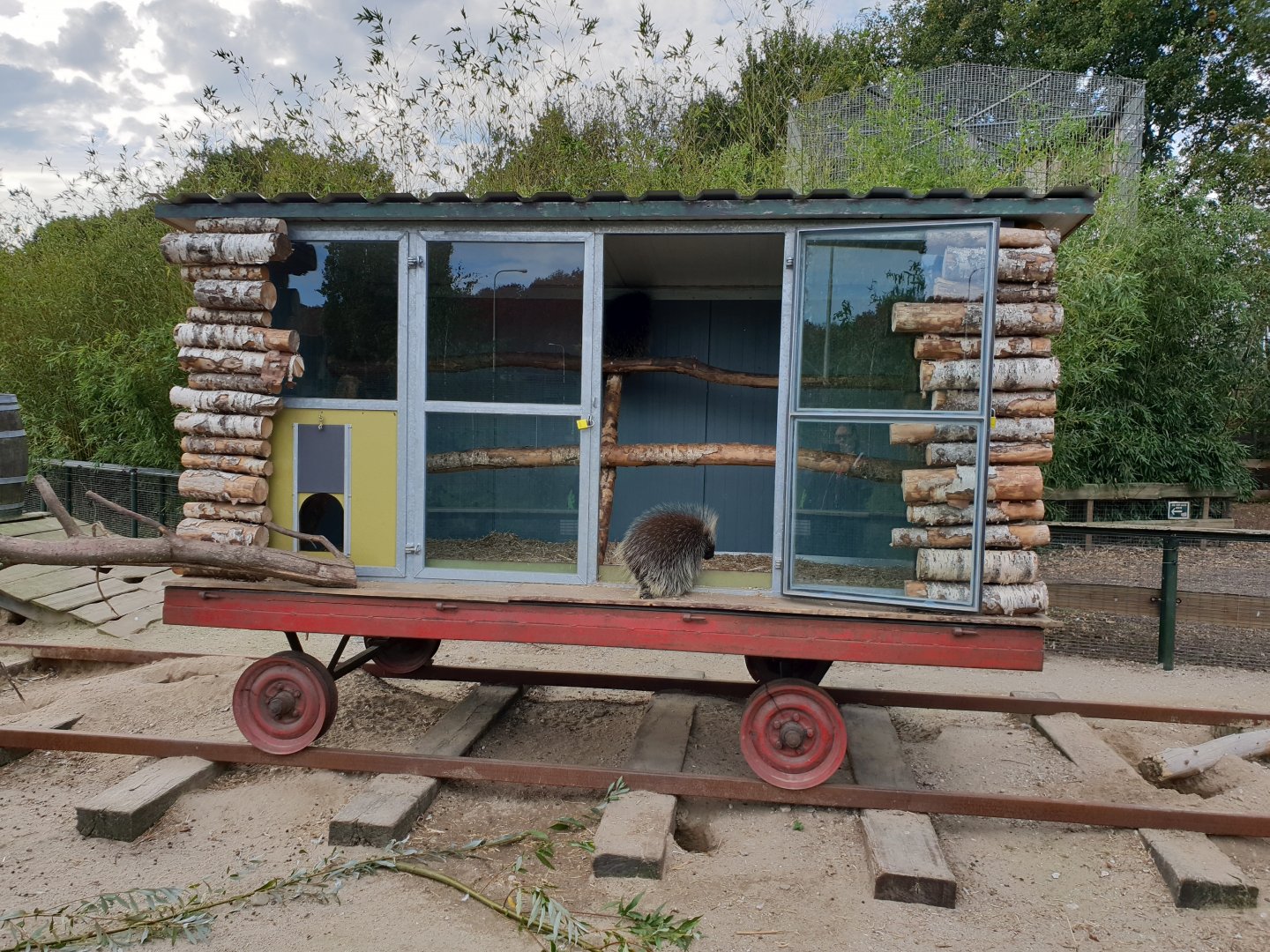 Shelter North American porcupine