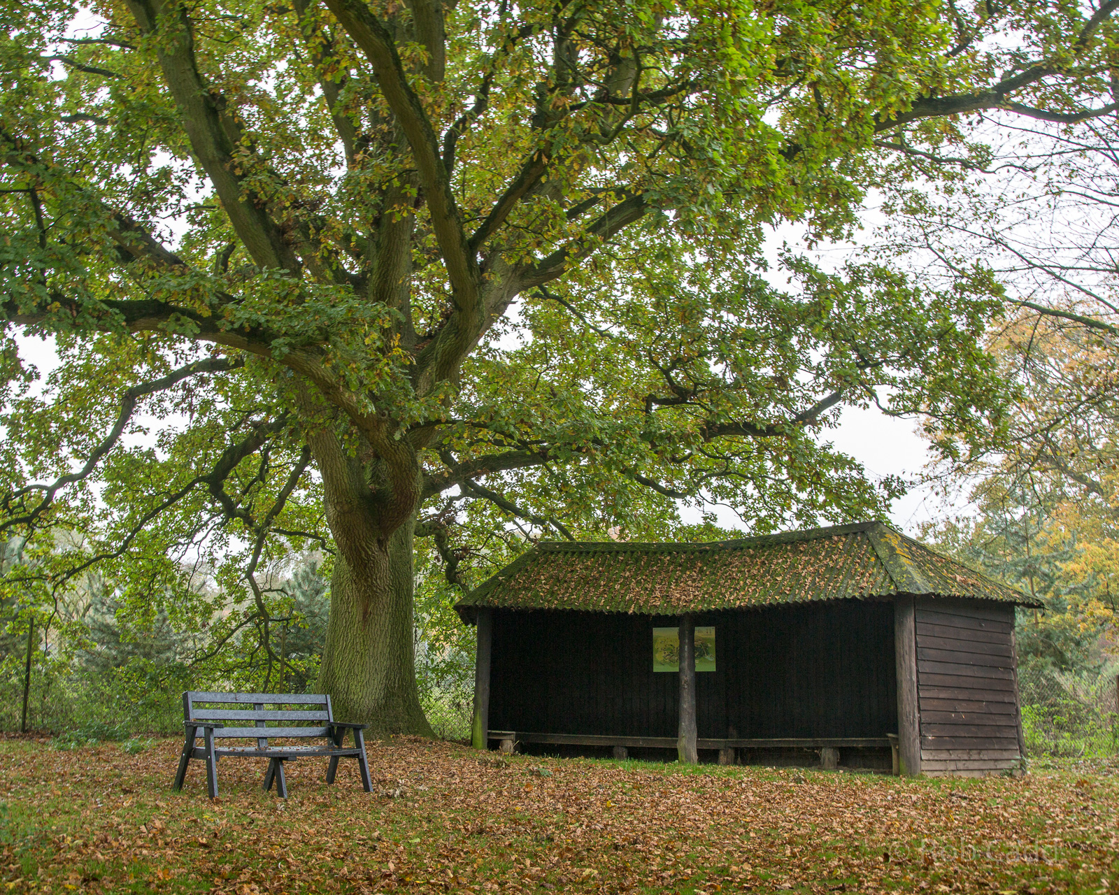 Shelter : Whipsnade : 04 Nov 2016