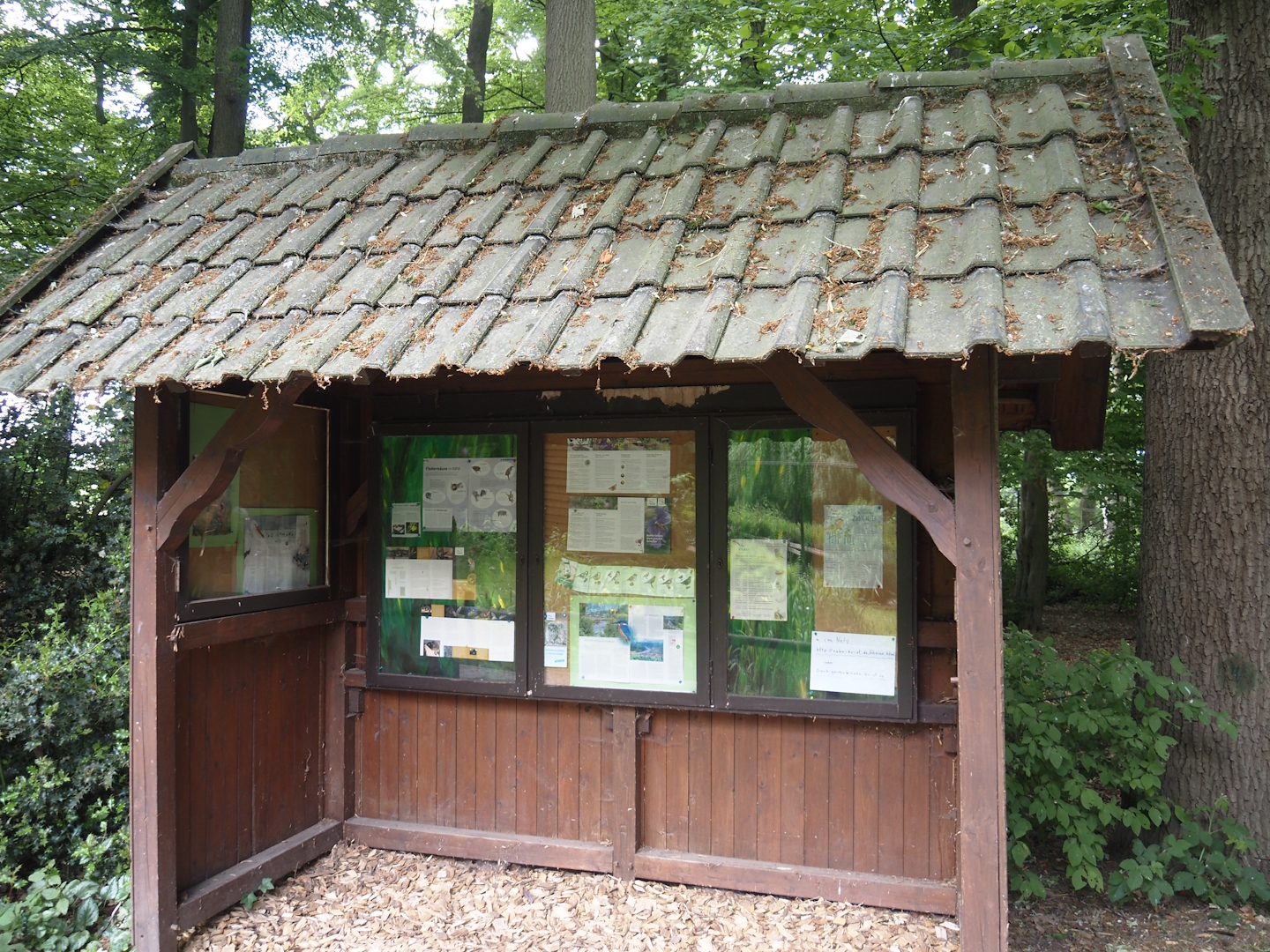 Shelter with signage about bats, native wildlife and regional nature organisations, 2025-05-22