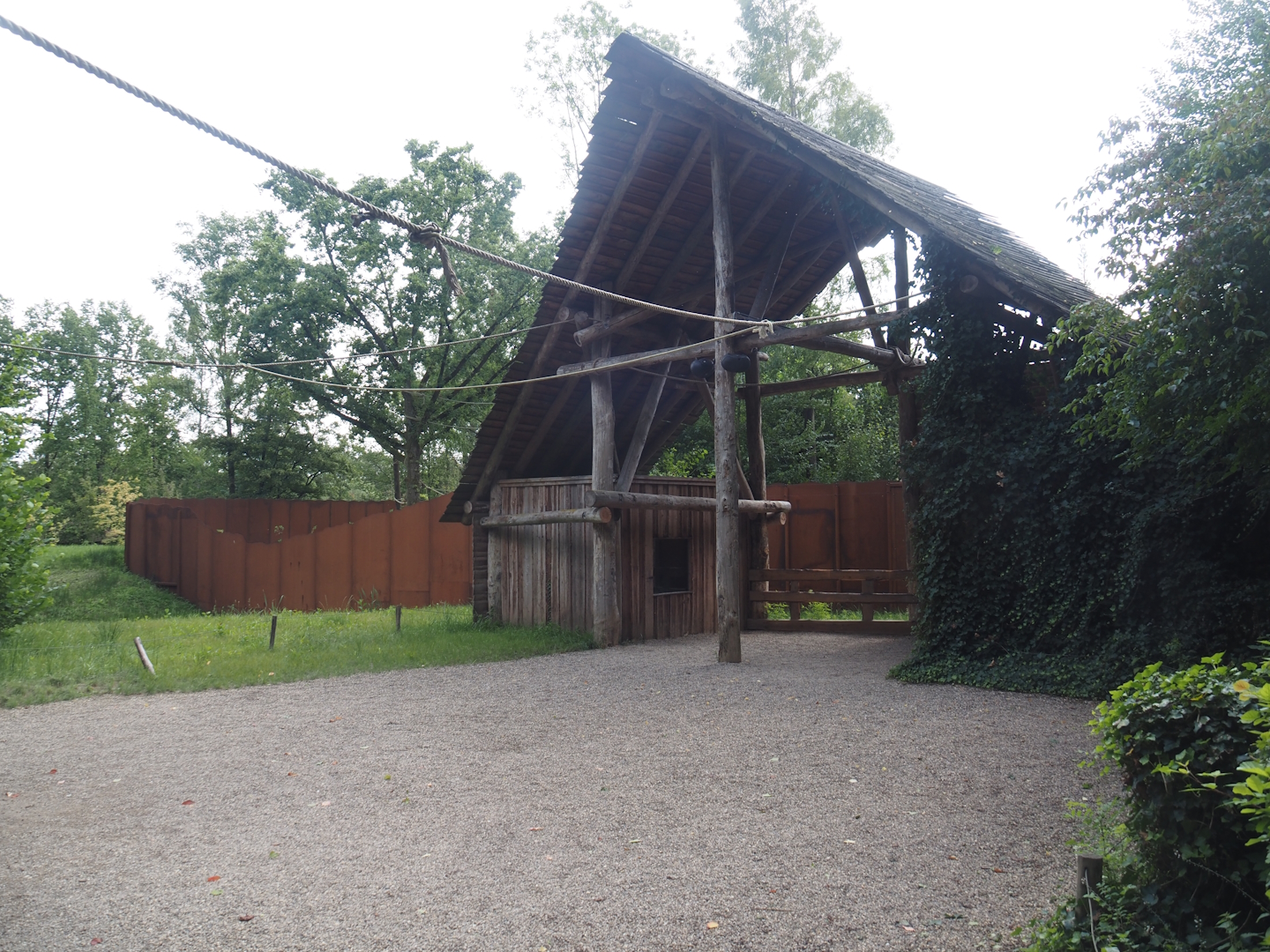 Shelter with Southern white-lipped peccary stable in the squirrel monkey forest, 2024-08-21