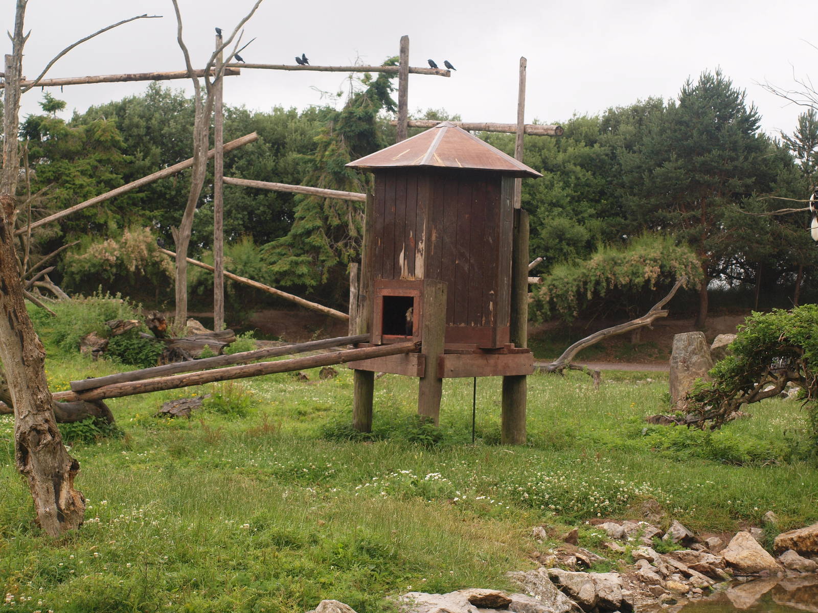 shelters on macaque island
