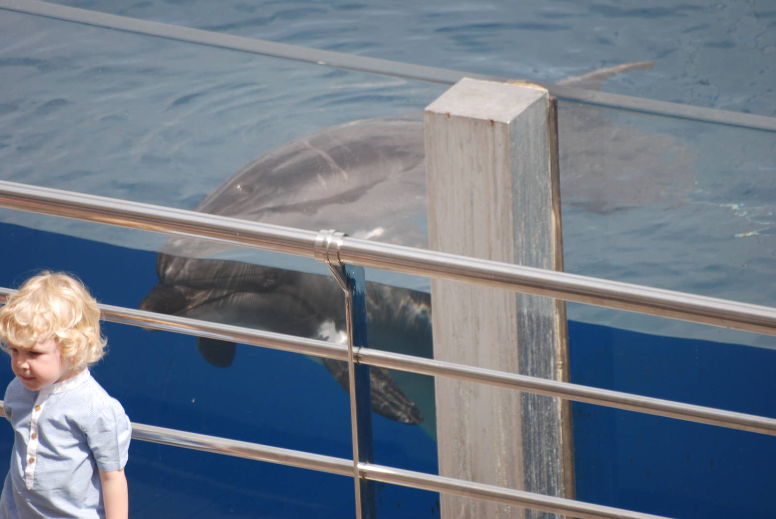 She's Behind You! Oceanografic, 29/05/11