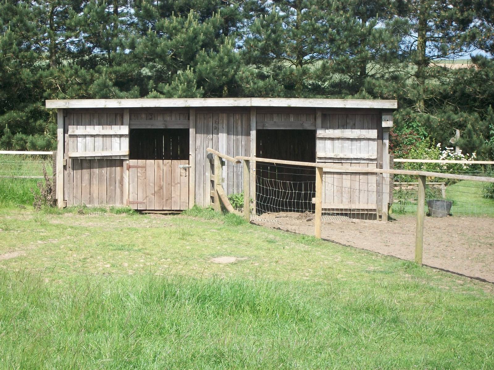 Shetland Pony and Donkey shelter, 19th June 2014