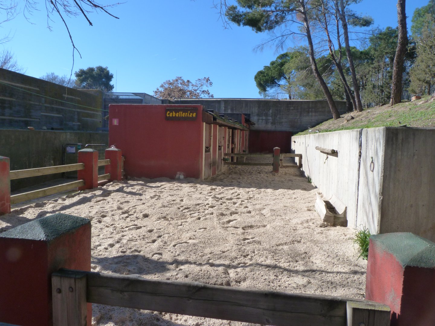 Shetland pony exhibit -Zoo Aquarium de Madrid (2025)