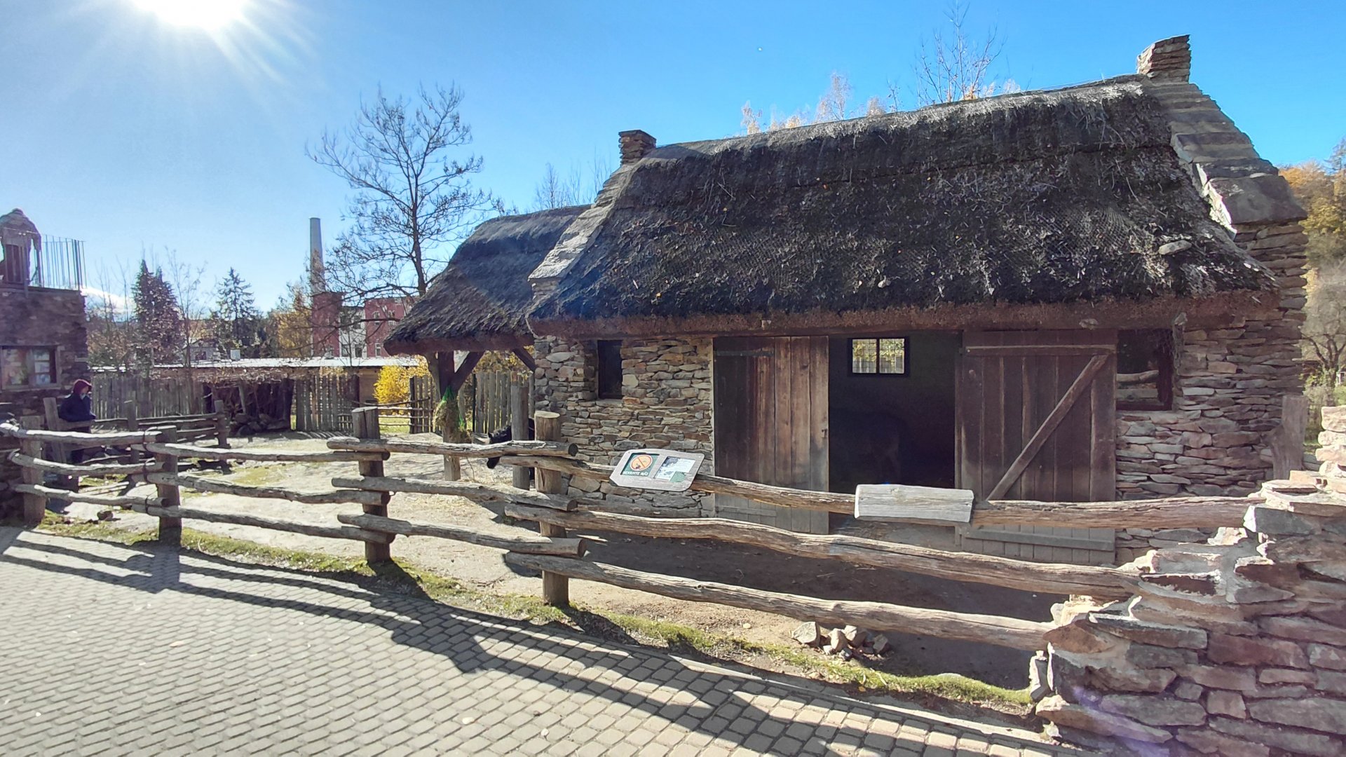 Shetland pony exhibit