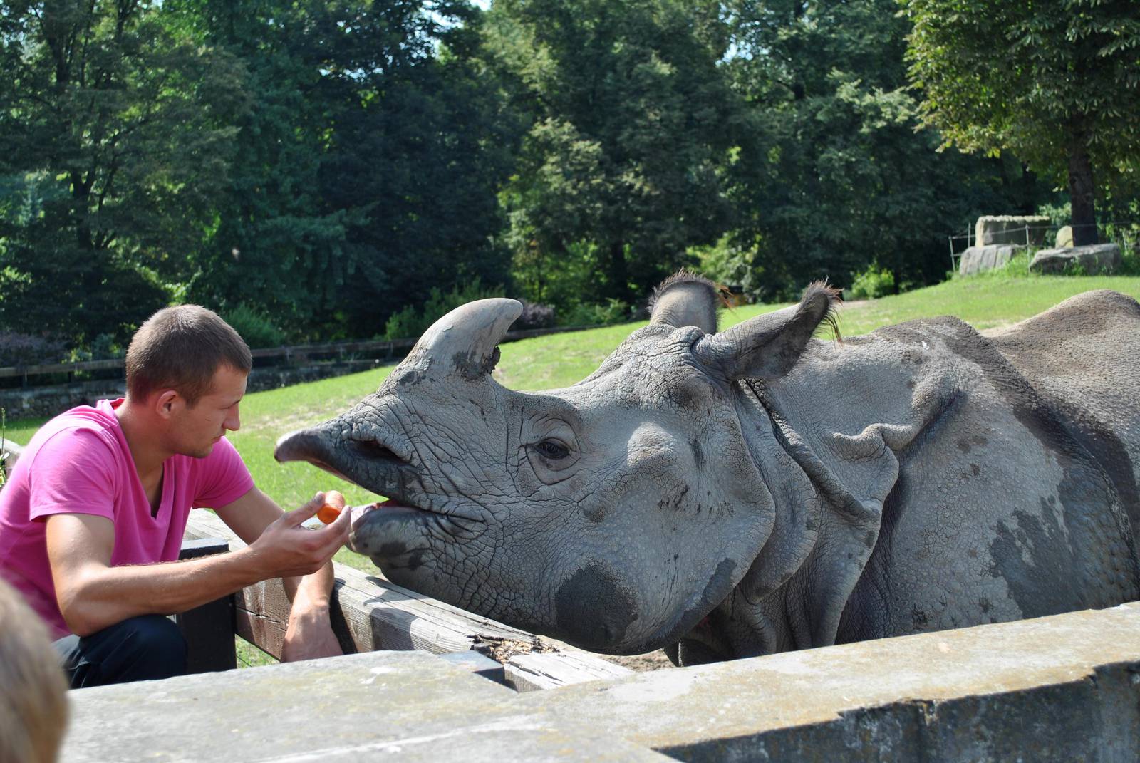 Shikari eating dinner