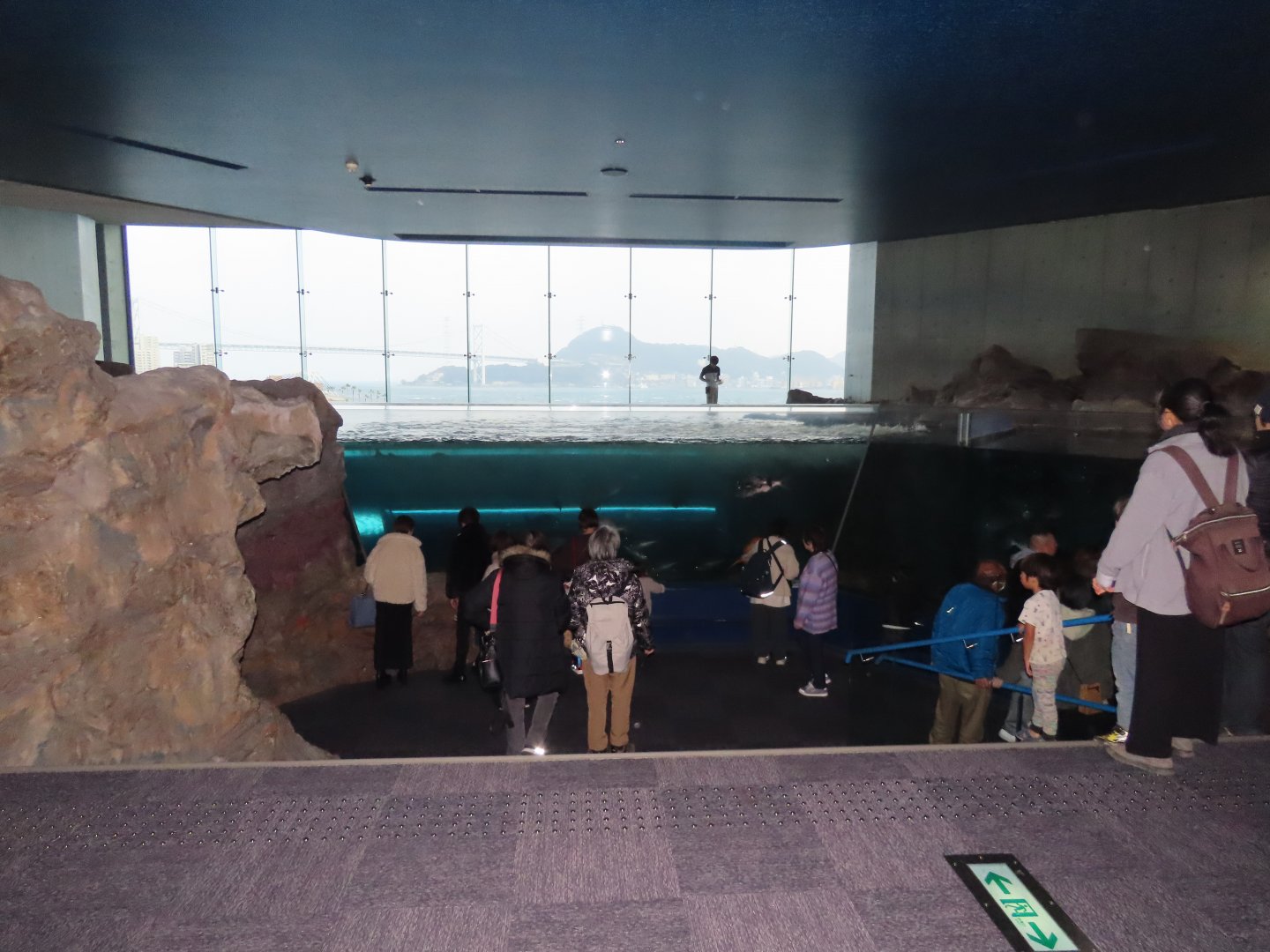 Shimonoseki aquarium: first tank