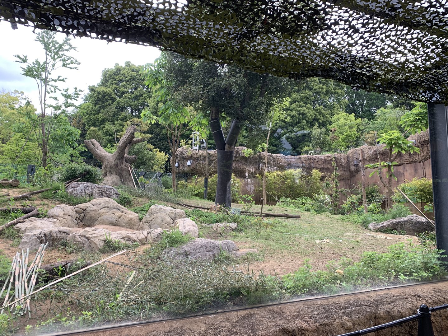 Shin Shin’s Exhibit