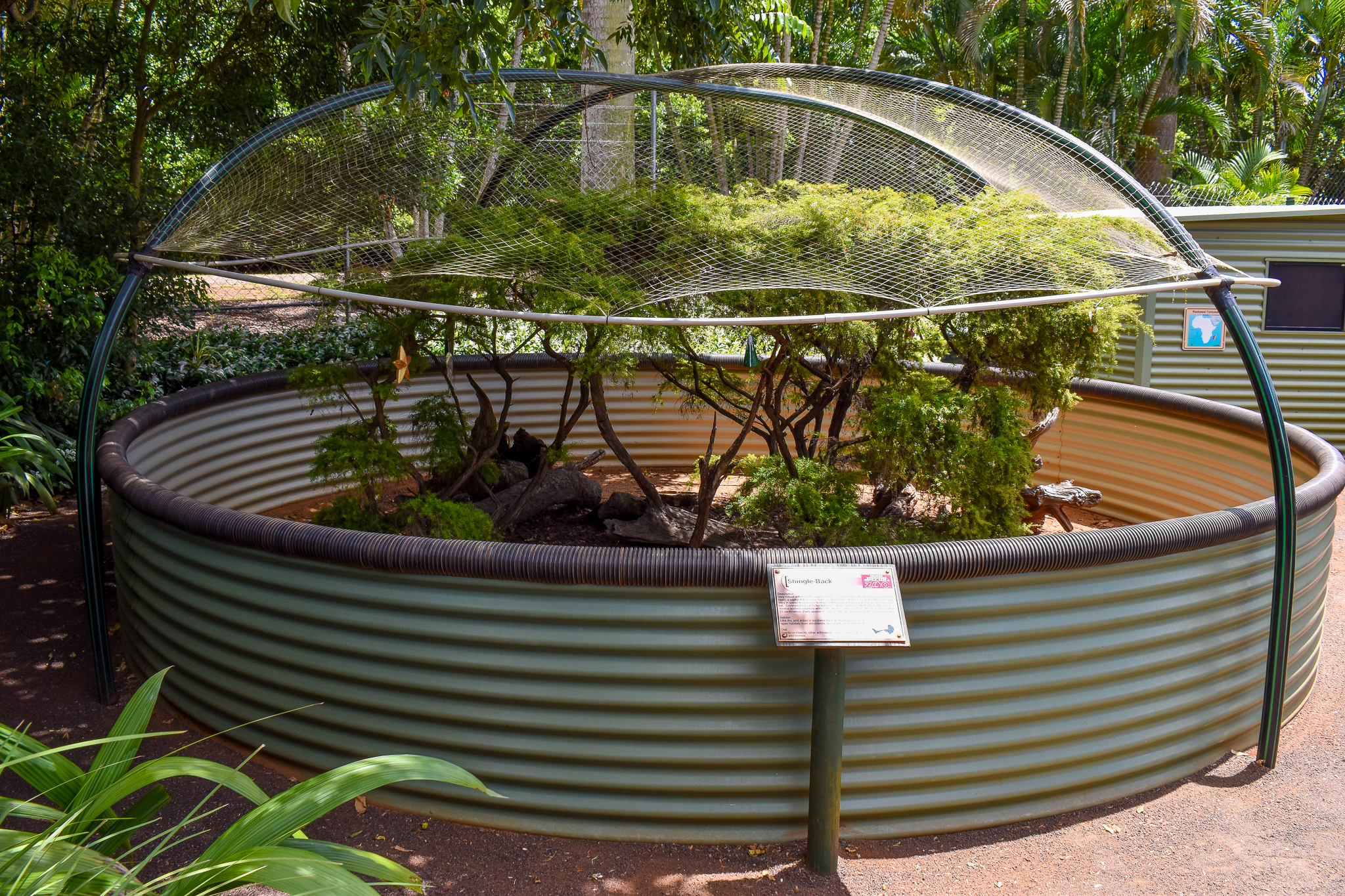 Shingleback/Bearded Dragon Enclosure