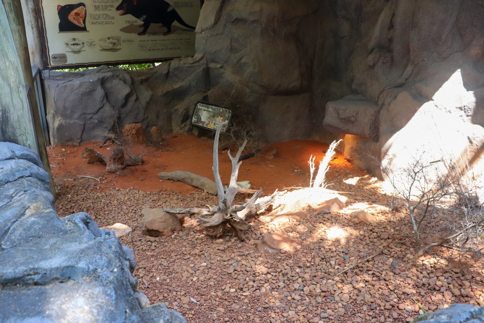 Shingleback Enclosure